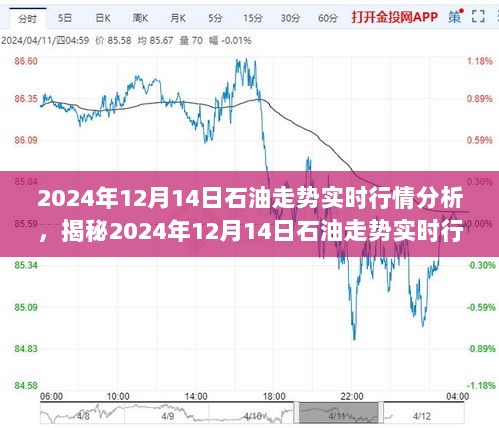 揭秘，2024年12月14日石油市场走势分析，洞悉行情把握投资机会