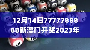 2024年12月14日 第9页