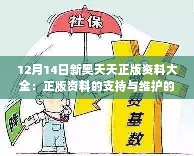 12月14日新奥天天正版资料大全：正版资料的支持与维护的必要性