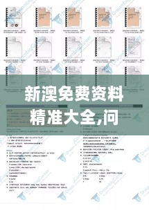 新澳免费资料精准大全,问题总结执行方案_C版1.125