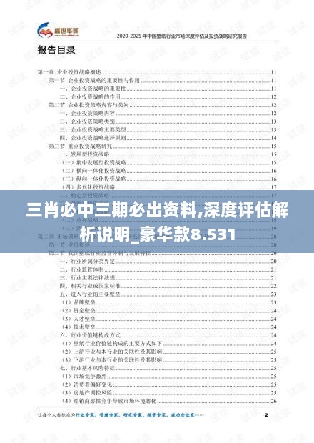 三肖必中三期必出资料,深度评估解析说明_豪华款8.531