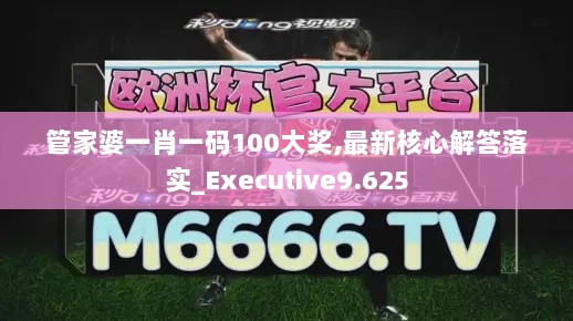 管家婆一肖一码100大奖,最新核心解答落实_Executive9.625