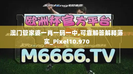 澳门管家婆一肖一码一中,可靠解答解释落实_Pixel10.970