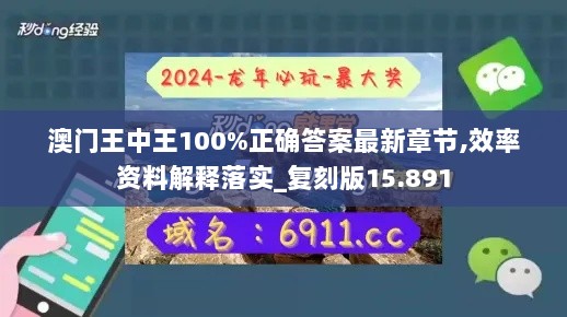 澳门王中王100%正确答案最新章节,效率资料解释落实_复刻版15.891