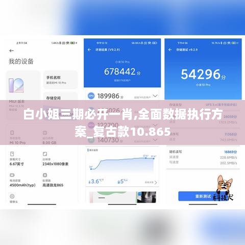 白小姐三期必开一肖,全面数据执行方案_复古款10.865