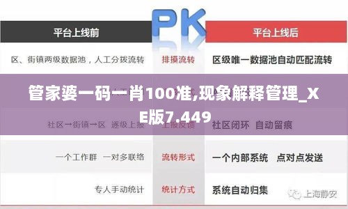 管家婆一码一肖100准,现象解释管理_XE版7.449