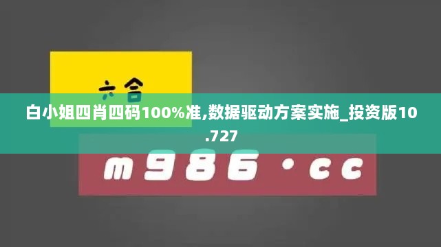 白小姐四肖四码100%准,数据驱动方案实施_投资版10.727