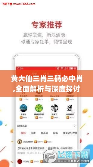 黄大仙三肖三码必中肖,全面解析与深度探讨_网页版4.950