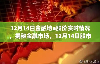 2024年12月15日 第29页