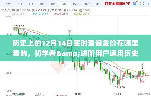 历史上的黄金价格走势解析，实时查询金价指南及初学者进阶指南