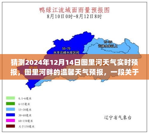 2024年12月15日 第12页