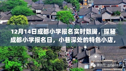 探秘成都小学报名日，实时数据下的教育宝藏与小巷特色小店