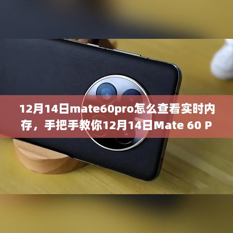 手把手教你查看Mate 60 Pro实时内存，轻松掌握手机运行状况！