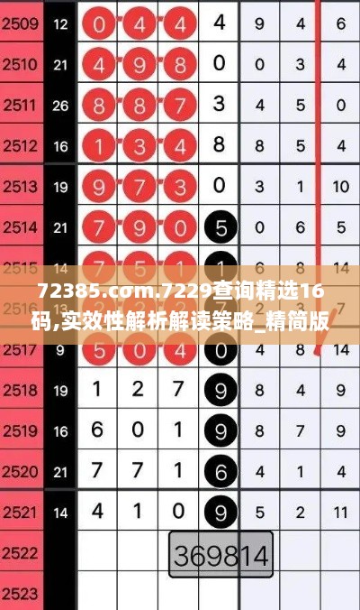 72385.cσm.7229查询精选16码,实效性解析解读策略_精简版5.996