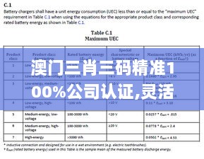 澳门三肖三码精准100%公司认证,灵活性执行计划_特别版4.273