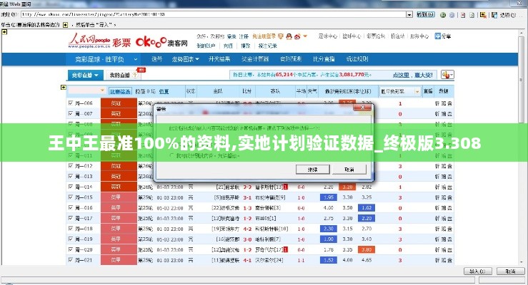 王中王最准100%的资料,实地计划验证数据_终极版3.308