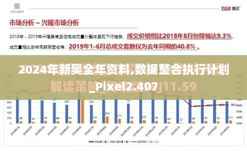 2024年新奥全年资料,数据整合执行计划_Pixel2.407