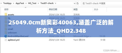 25049.0cm新奥彩40063,涵盖广泛的解析方法_QHD2.348