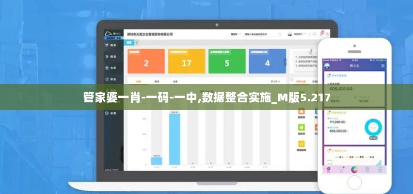 管家婆一肖-一码-一中,数据整合实施_M版5.217