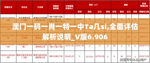 澳门一码一肖一特一中Ta几si,全面评估解析说明_V版6.906