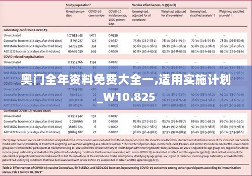 奥门全年资料免费大全一,适用实施计划_W10.825