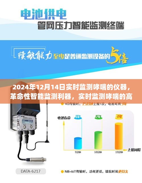 2024年12月16日 第37页