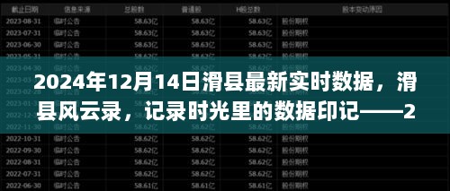 2024年12月16日 第35页