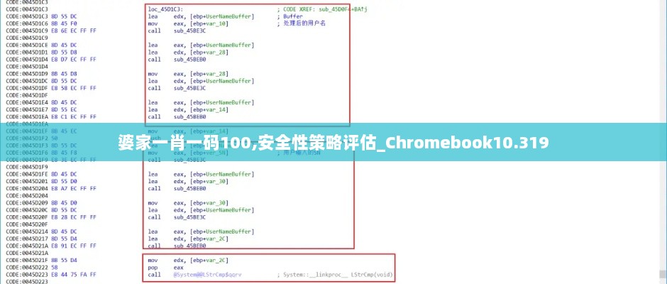 婆家一肖一码100,安全性策略评估_Chromebook10.319