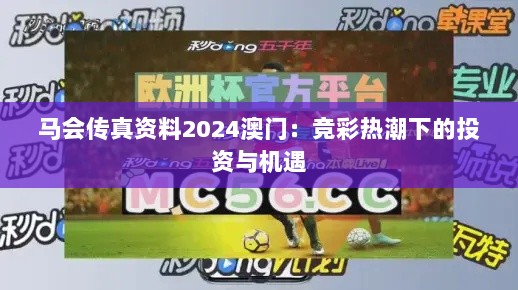 2024年12月16日 第17页