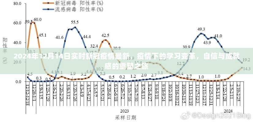 疫情下的变革，学习之路与自信重塑之旅的最新进展（实时更新至2024年12月14日）