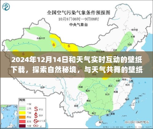 2024年12月16日 第5页