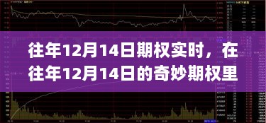 往年12月14日期权实时，与自然美景共舞，探寻内心宁静之道