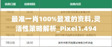 最准一肖100%最准的资料,灵活性策略解析_Pixel1.494