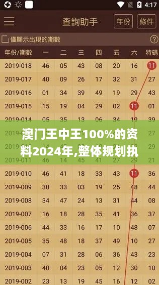 澳门王中王100%的资料2024年,整体规划执行讲解_钻石版9.938