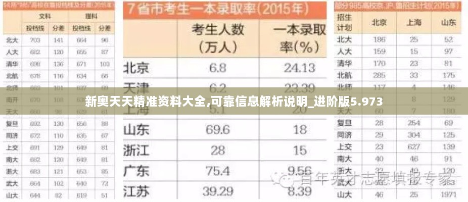 新奥天天精准资料大全,可靠信息解析说明_进阶版5.973