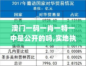 2024年12月17日 第51页