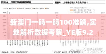 新澳门一码一码100准确,实地解析数据考察_YE版9.230