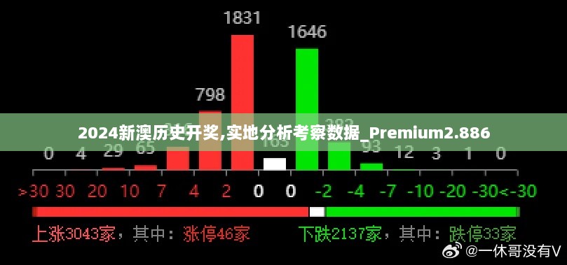 2024新澳历史开奖,实地分析考察数据_Premium2.886