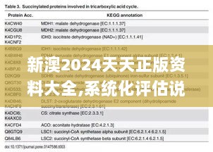 2024年12月17日 第33页