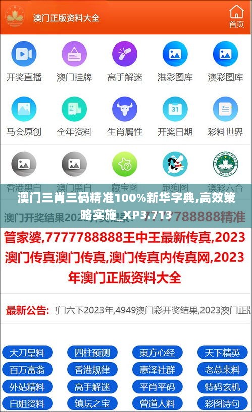 澳门三肖三码精准100%新华字典,高效策略实施_XP3.713