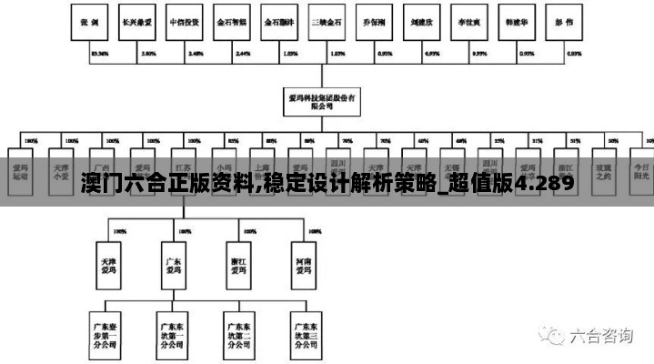 澳门六合正版资料,稳定设计解析策略_超值版4.289