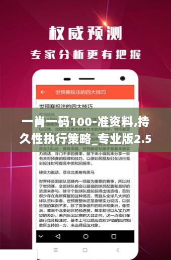 一肖一码100-准资料,持久性执行策略_专业版2.547