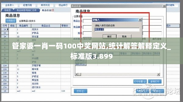 管家婆一肖一码100中奖网站,统计解答解释定义_标准版3.899