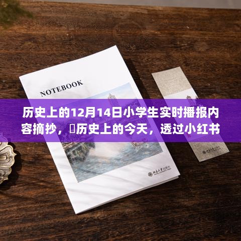 ✨历史上的今天，透过小红书眼镜看特别的12月14日小学生播报瞬间回顾