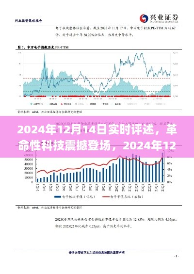 2024年12月17日 第12页