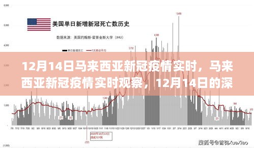 2024年12月17日 第8页