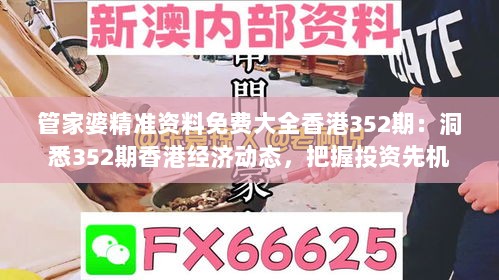 管家婆精准资料免费大全香港352期：洞悉352期香港经济动态，把握投资先机