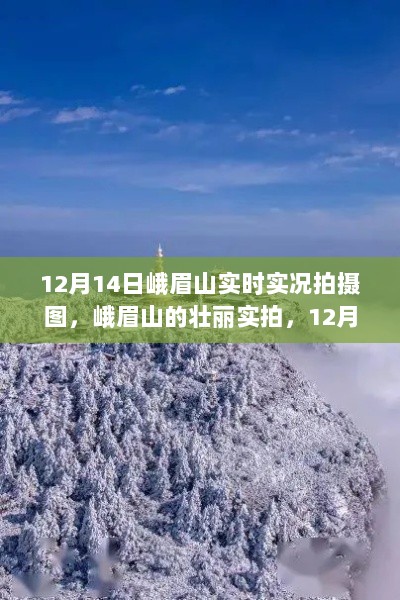 12月14日峨眉山雪域仙境壮丽实拍，实拍雪域仙境之美