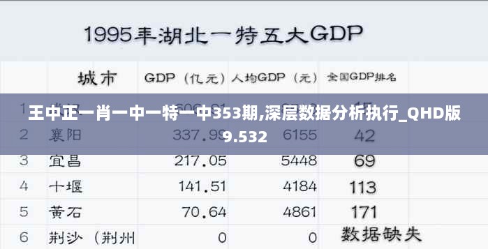 王中正一肖一中一特一中353期,深层数据分析执行_QHD版9.532