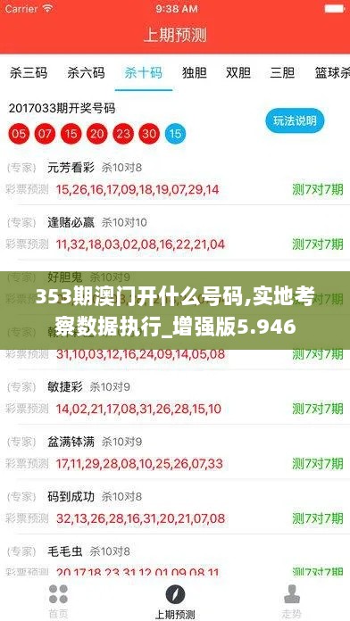 353期澳门开什么号码,实地考察数据执行_增强版5.946